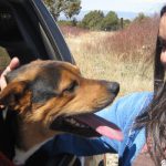 Rescued Puppy, Beau, Lands the Good Life