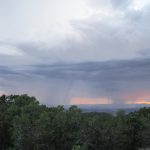 IMG_5967